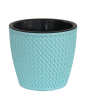 Саксия Ivy 0.750 ml (GS-100)
