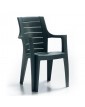 Стол с подлакътник "ELEGANCE WOOD" 62x57xh88см зелен - NOVUSSI