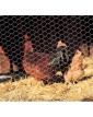 Hobby fence - Хексагонална мрежа 1 х 10м Поцинкована