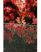 Betafence - TE72160118