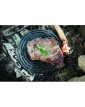 Чугунена скара на крачета, Ø30 cm - Petromax