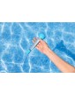 Bestway - Плаващ термометър с връзка 58697 | Baseinibg.com