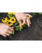 Ножица за цветя Solid SP141 - | Baseinibg.com