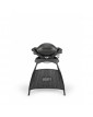 Електрическо барбекю със стойка WEBER® Q1400 | Baseinibg.com