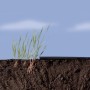 Мулчиращ геотекстил Geotex - 3.2 х 10м - Nortene