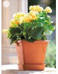 Stefanplast - 91260
