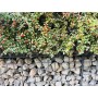 Електрозаварен габион BETAFENCE 200x50x100 cm | BaseiniBG