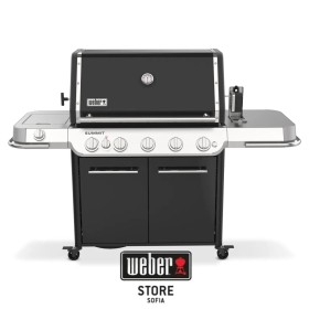 Барбекю на газ Weber® Summit FS38 E | BaseiniBG