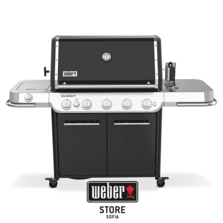 Барбекю на газ Weber® Summit FS38 E | BaseiniBG