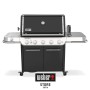 Барбекю на газ Weber® Summit FS38 E | BaseiniBG