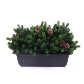 Декоративно саксийно растение БОР и ШИШАРКИ UV 38х50 cm |