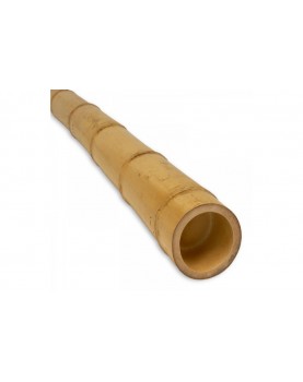 Бамбуков стълб, цвят натурал, ф50-60 cm  L-1.80m