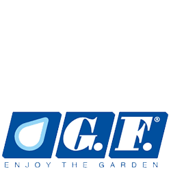 GF